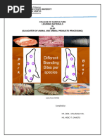 Lamb Meat Yield and Cutting Guide | PDF | Lamb And Mutton | Animal Killing