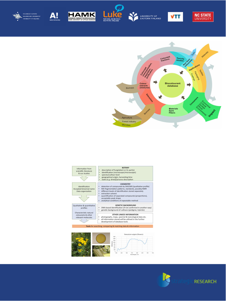 Bio-based-Dyes-and-Pigments-for-Colour-Palette- -Combining-Traditions ...