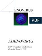 1590 Adenovirus