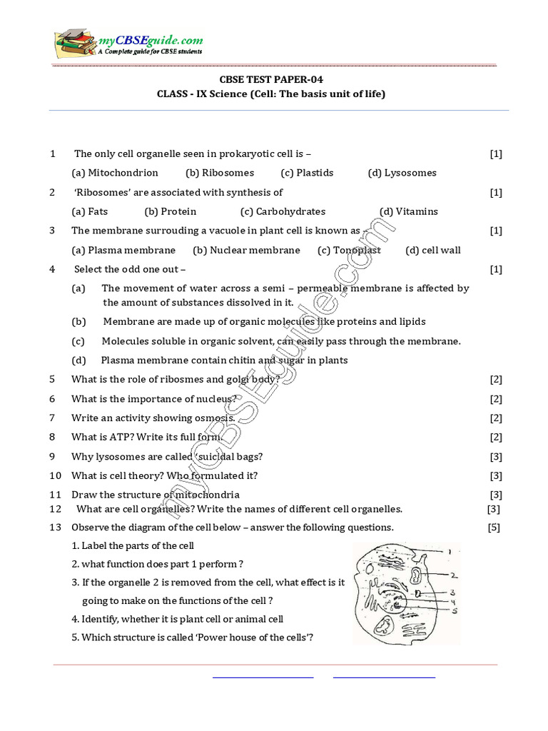 434227744 9 Science Cell the Basic Unit of Life Test 04 PDF | PDF ...