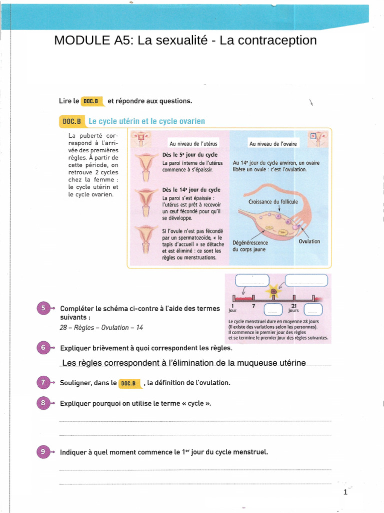 MODULE A5 La FÃ©condation | PDF