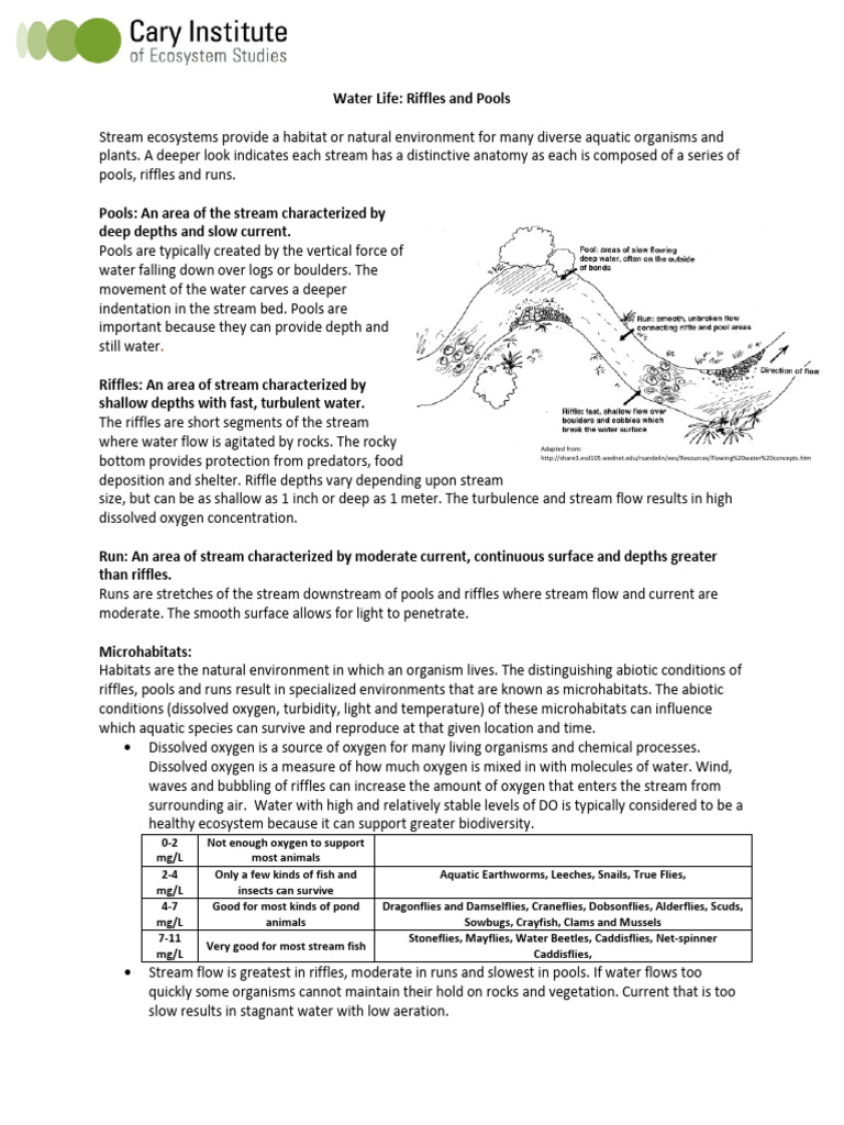 Water Life Riffle and Pool Background | PDF | Habitat | Stream
