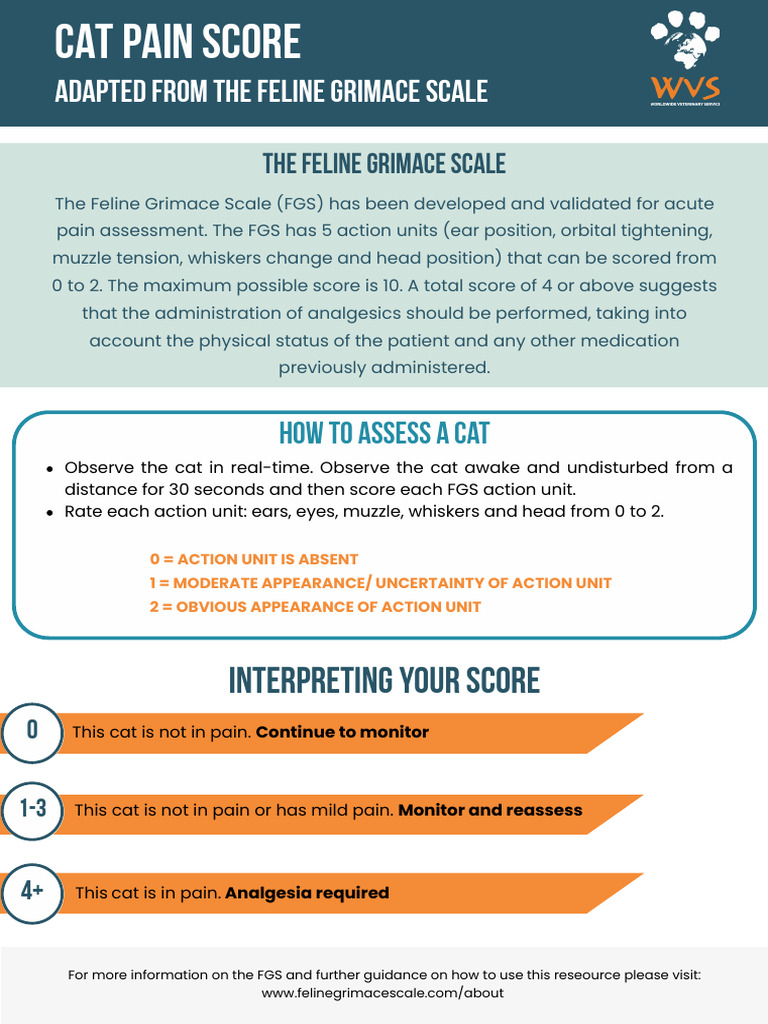 Feline Pain Score (FGS Adapted).PDF (1) | PDF | Diseases And Disorders ...