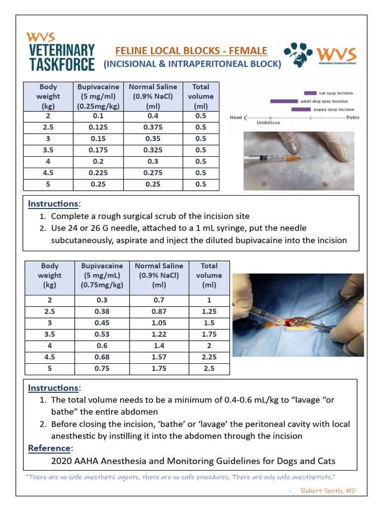 Incisional & IP Block - Female Cat | PDF