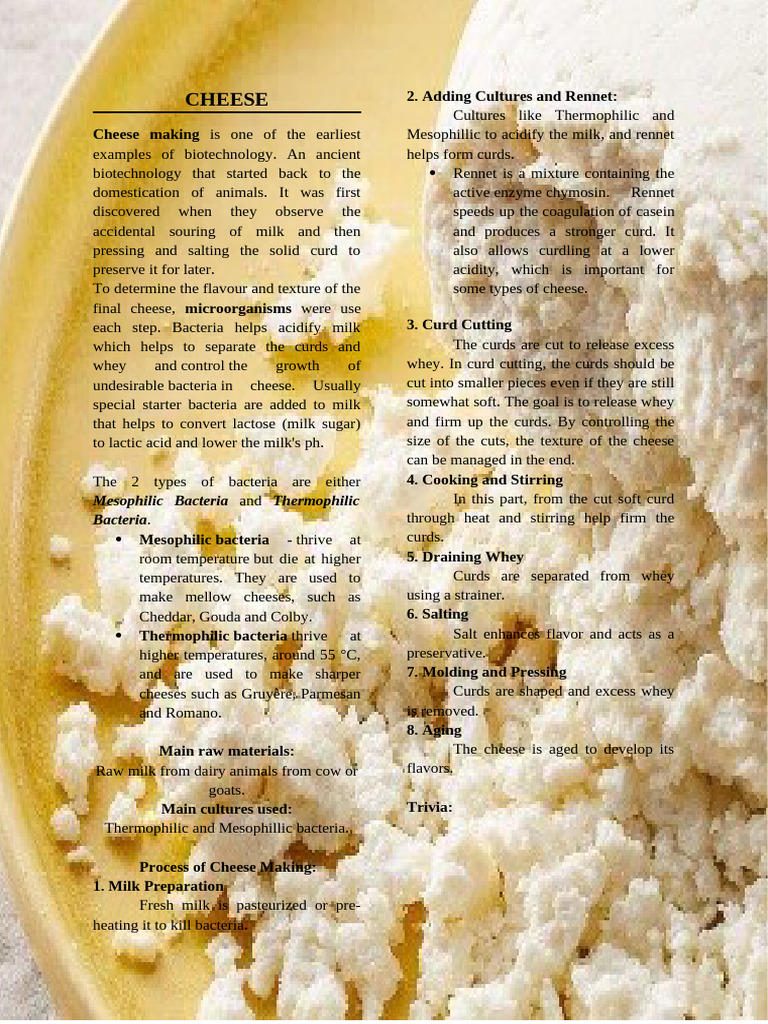 Cheese | PDF | Cheese | Cheesemaking