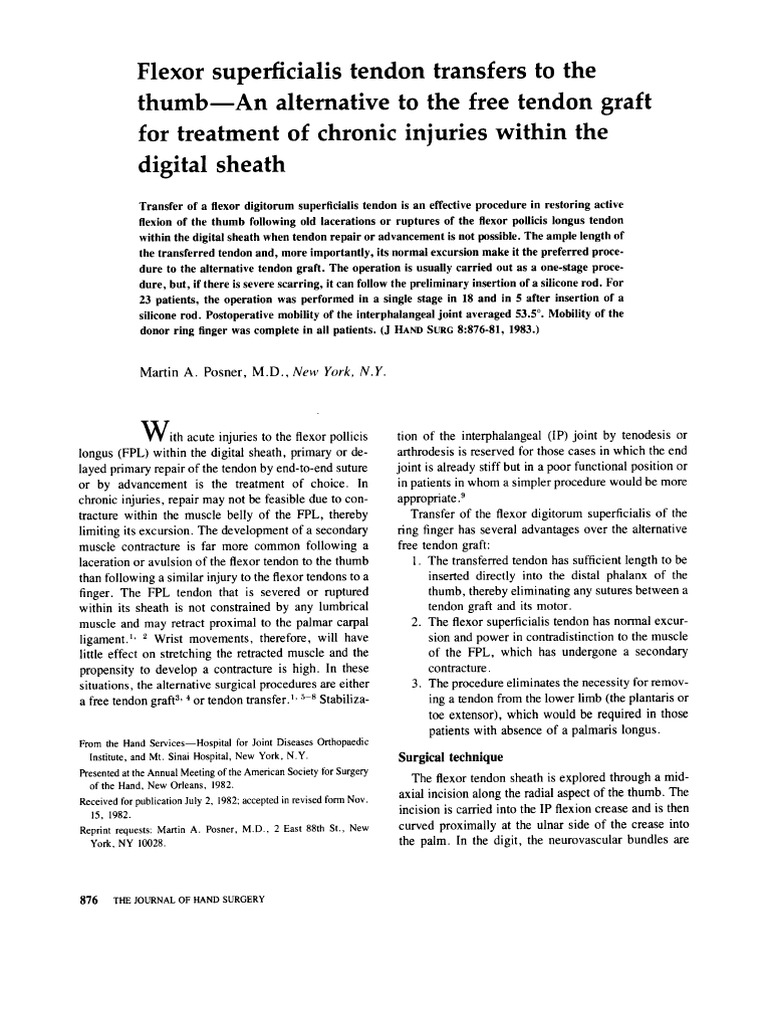 Posner 1983 | PDF | Thumb | Hand