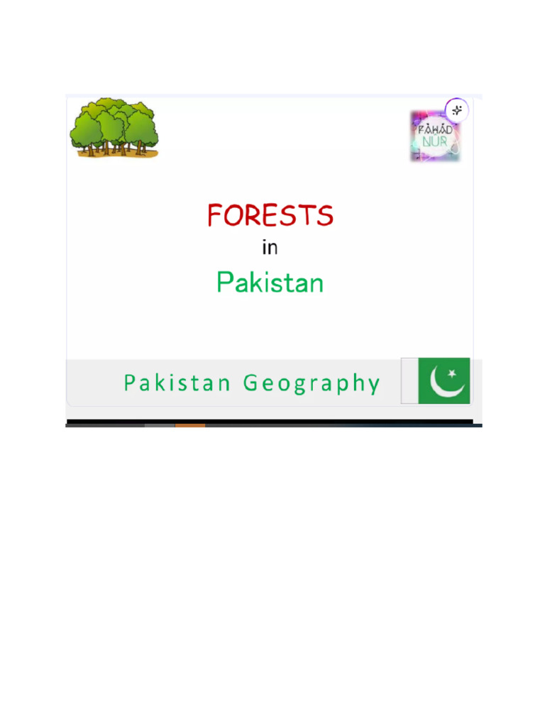 Forest 1 | PDF