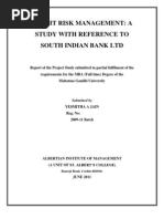 Project Study On Credit Risk Management