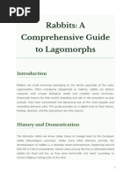 Rabbit Showmanship Study Guide | PDF | Rabbit | Mammals