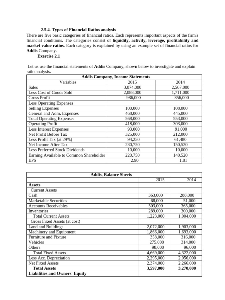 Example of Financial Ststment Analysis | PDF | Net Income | Equity ...