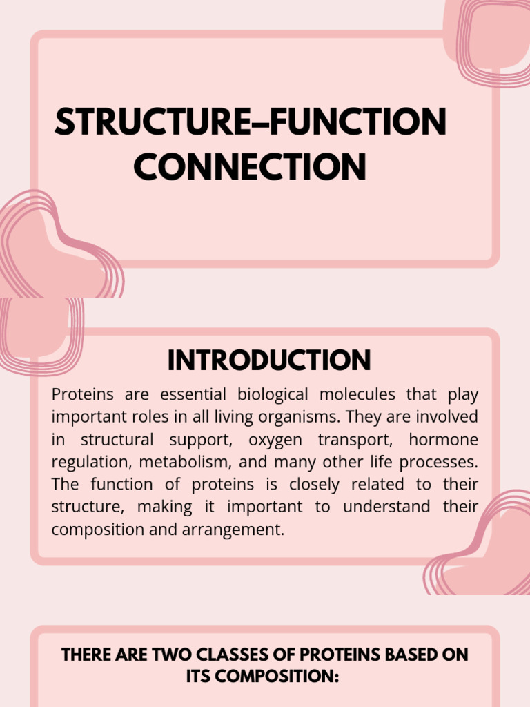 Group 1 Structure–Function Connection 20260304 204533 0000 | PDF ...