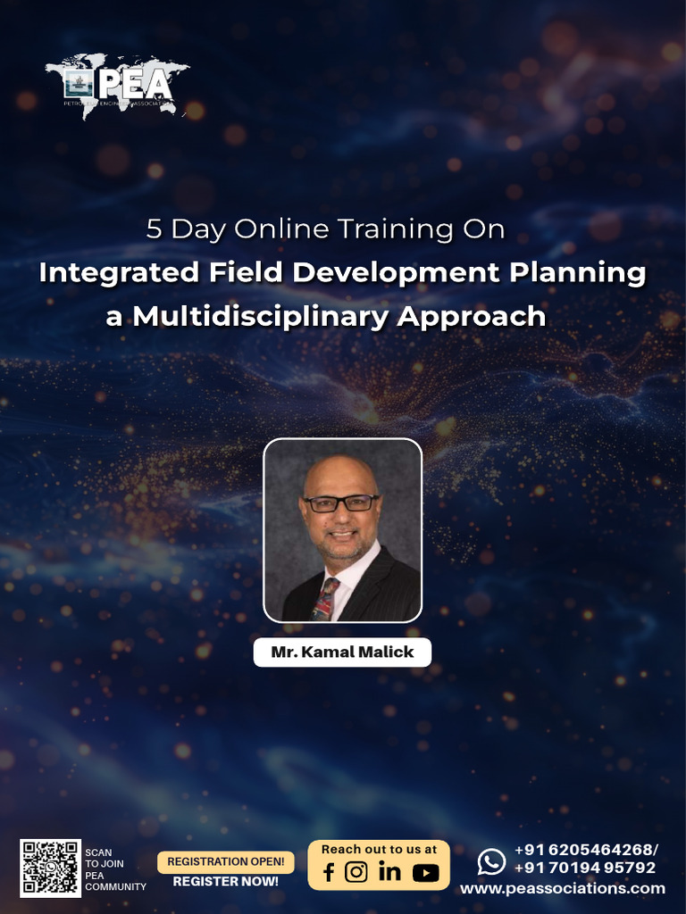 Integrated Field Development Planning Brochure | PDF | Petroleum ...