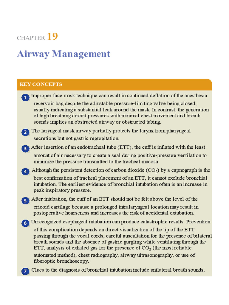 Airway | PDF | Larynx | Human Anatomy