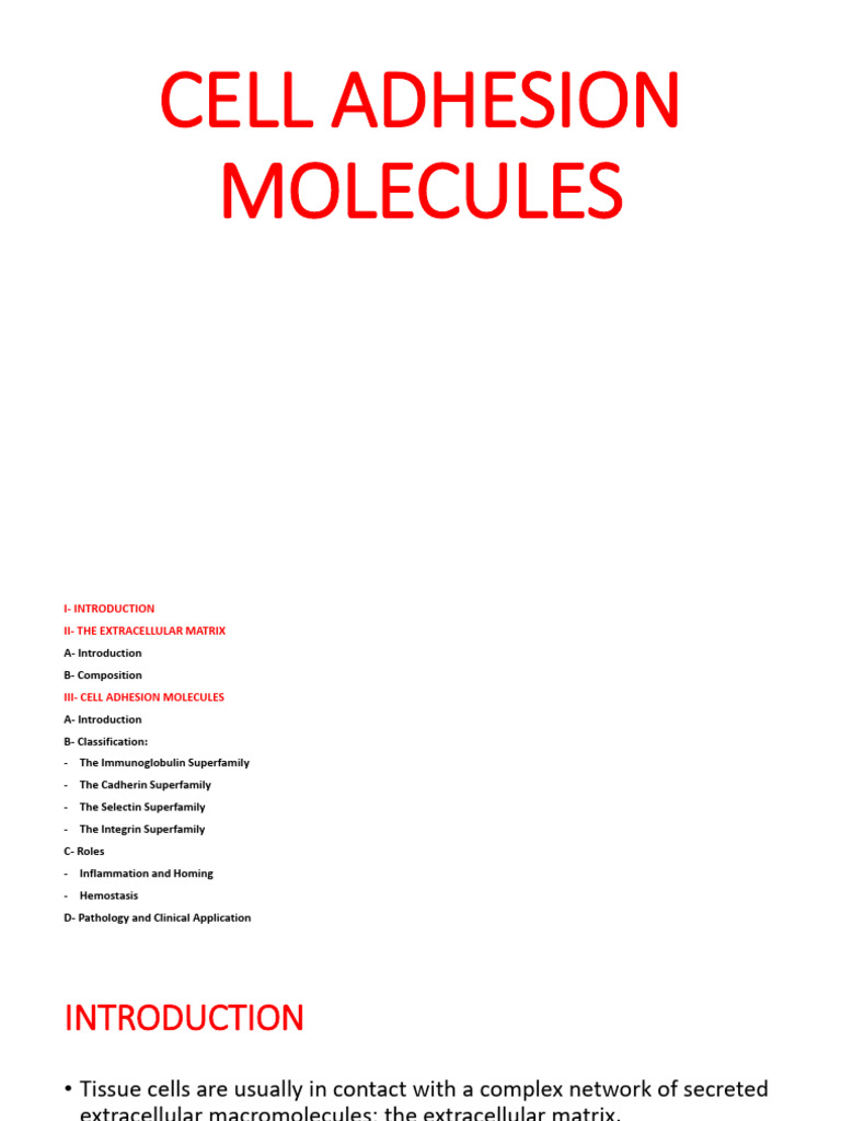 6 Cell Adhesion Molecules 2 | PDF | Cell Adhesion | Extracellular Matrix