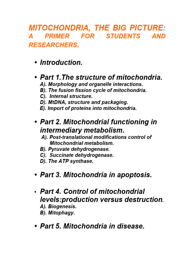 Umdf Mitochondria an Overview. | PDF | Protein Targeting | Mitochondrion