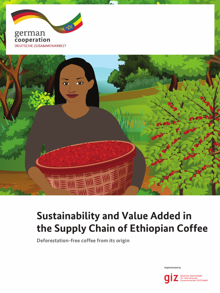 Coffee Value Chain | PDF