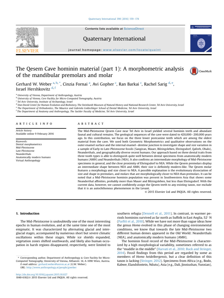 The Qesem Cave Hominin Material (Part 1) - A Morphometric Analysis of ...