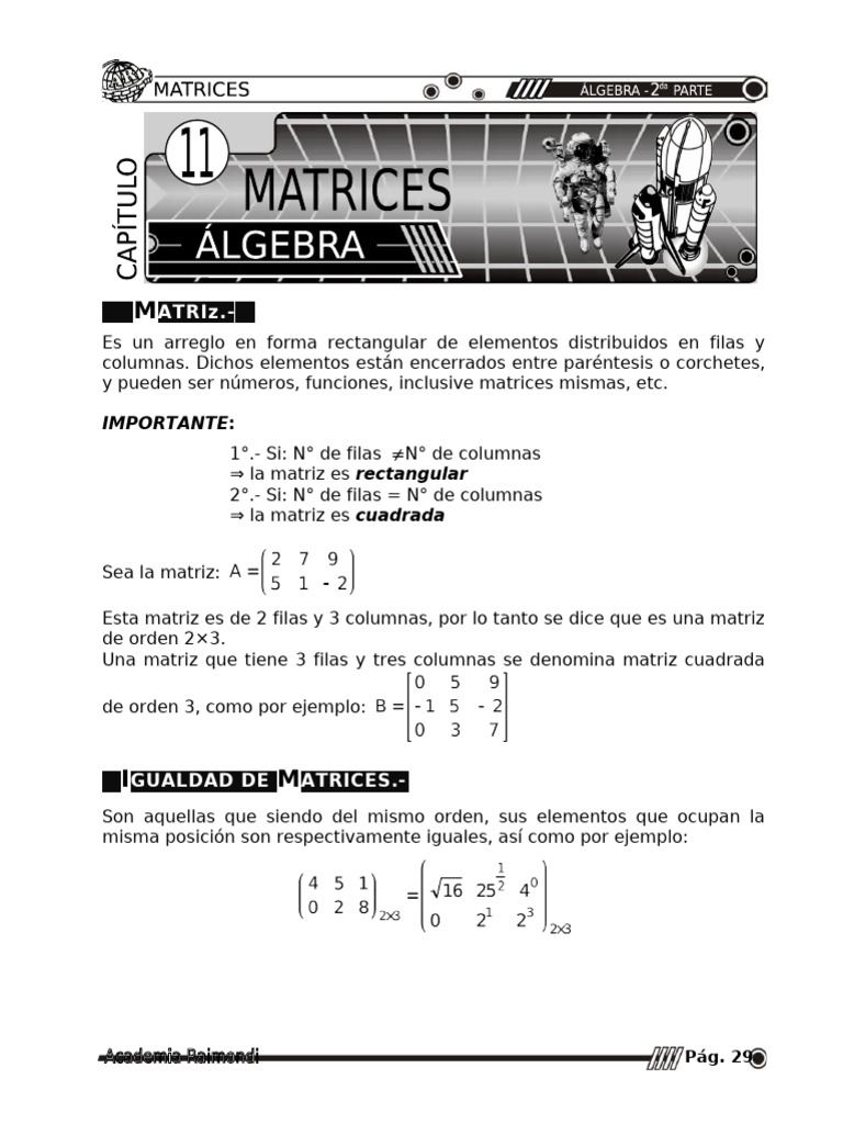 Cap 10 - Matrices | PDF | Matriz (Matemáticas) | Determinante