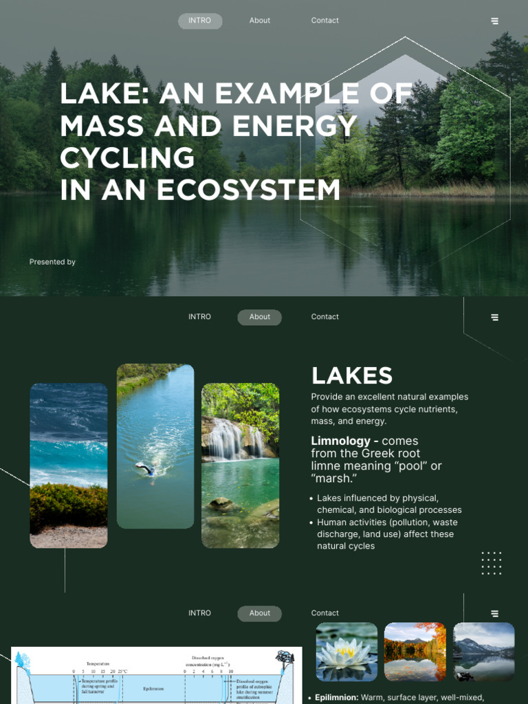 LAKE (1) | PDF | Eutrophication | Lake