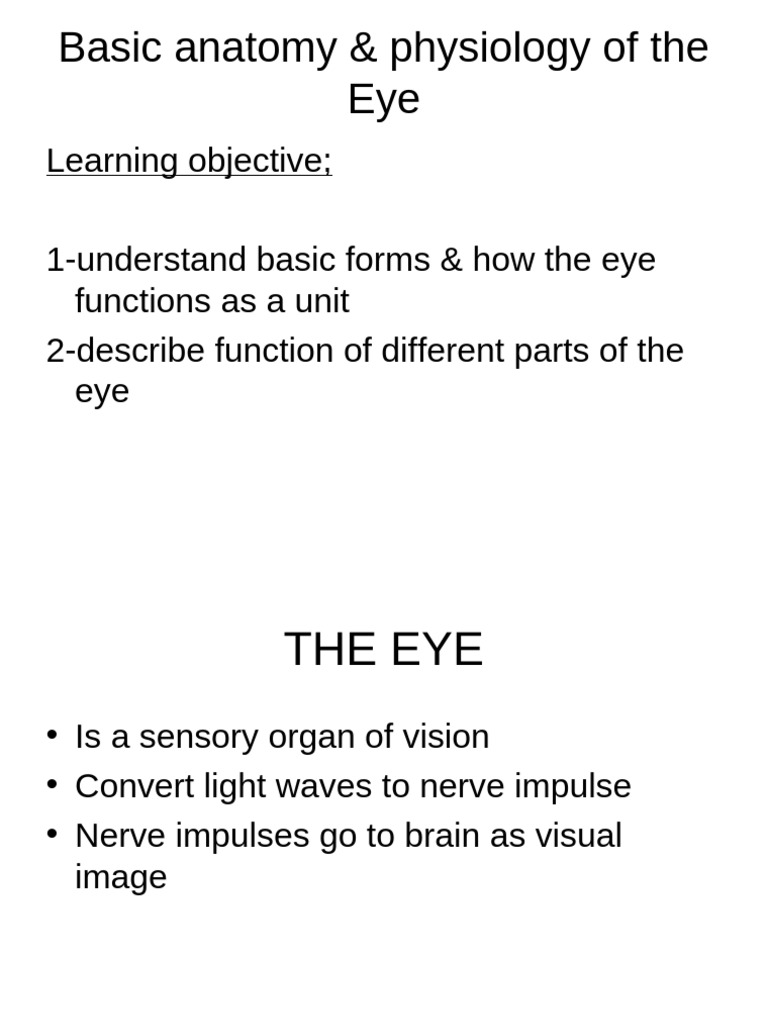 1 Basic Anatomy of the Eye | PDF | Human Eye | Senses