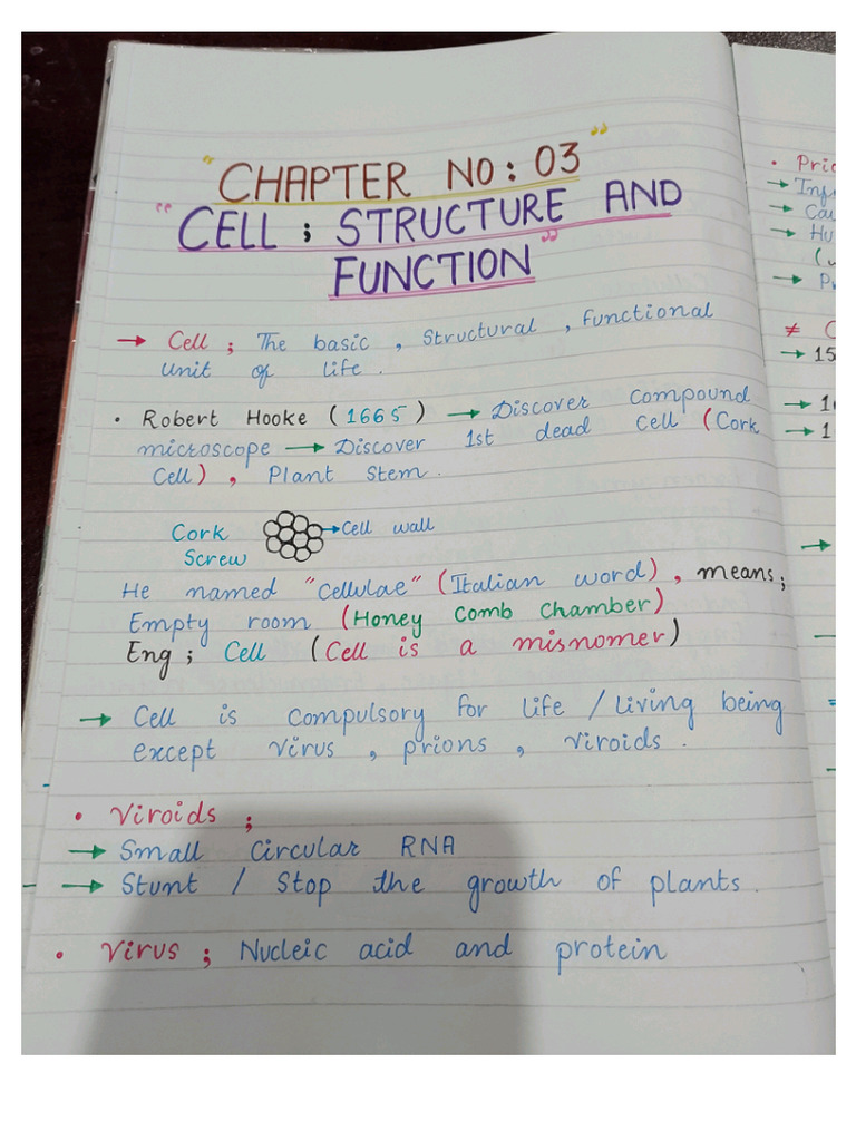 Class11Biology Chapter3 CELL STRUCTURE & FUNCTION | PDF