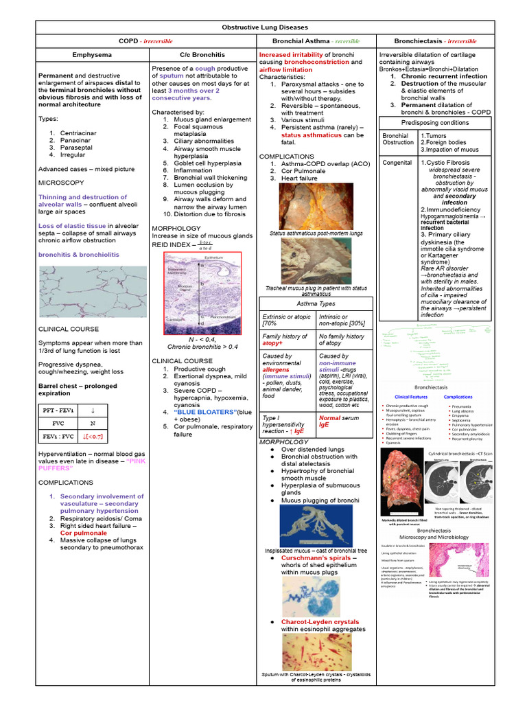 Obstructive Lung Diseases | PDF | Respiratory Tract | Chronic ...