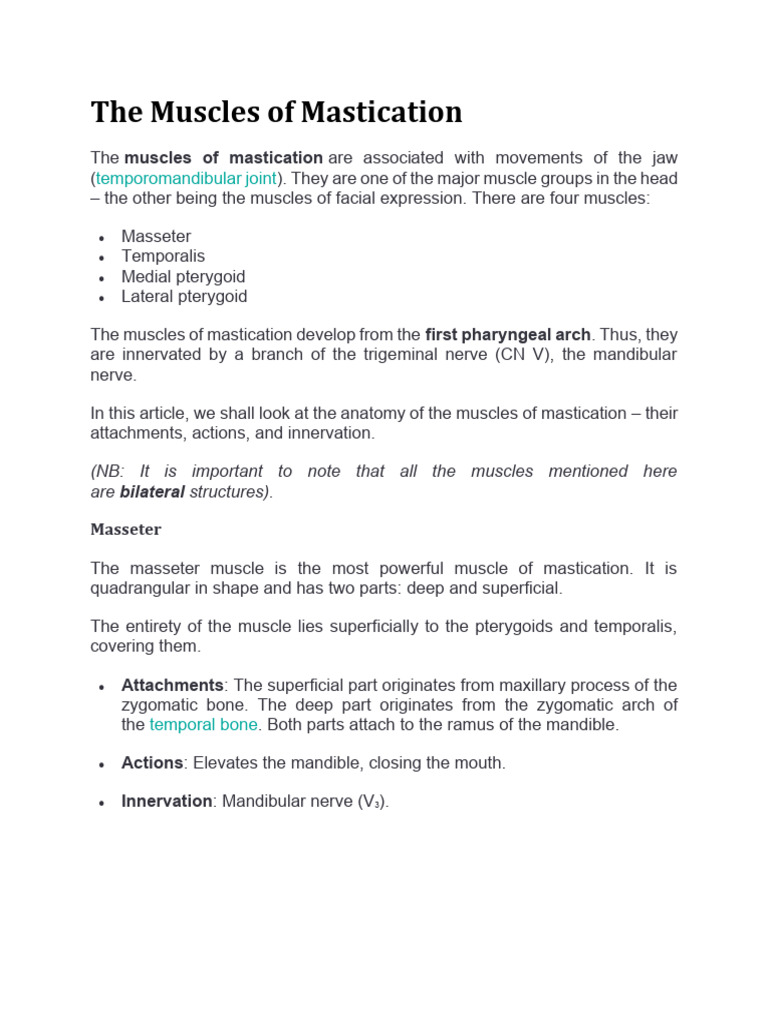 The Muscles of Mastication (1) | PDF | Human Head And Neck | Human Anatomy