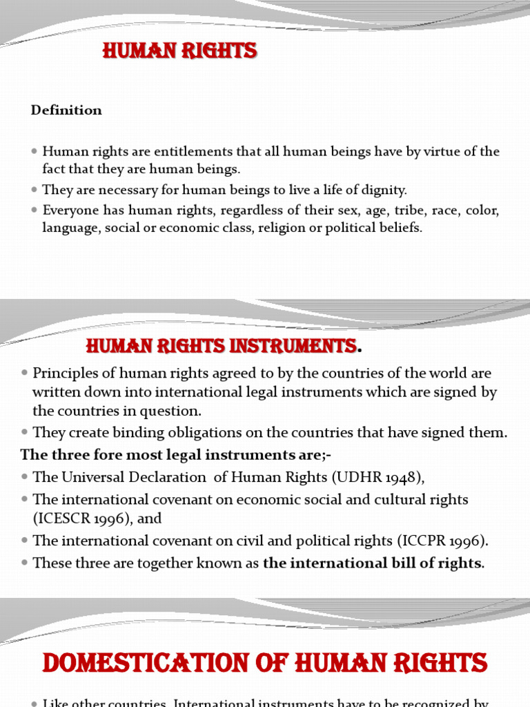 Human Rights en the Constitution - Fnl-1 | PDF | Human Rights | Government