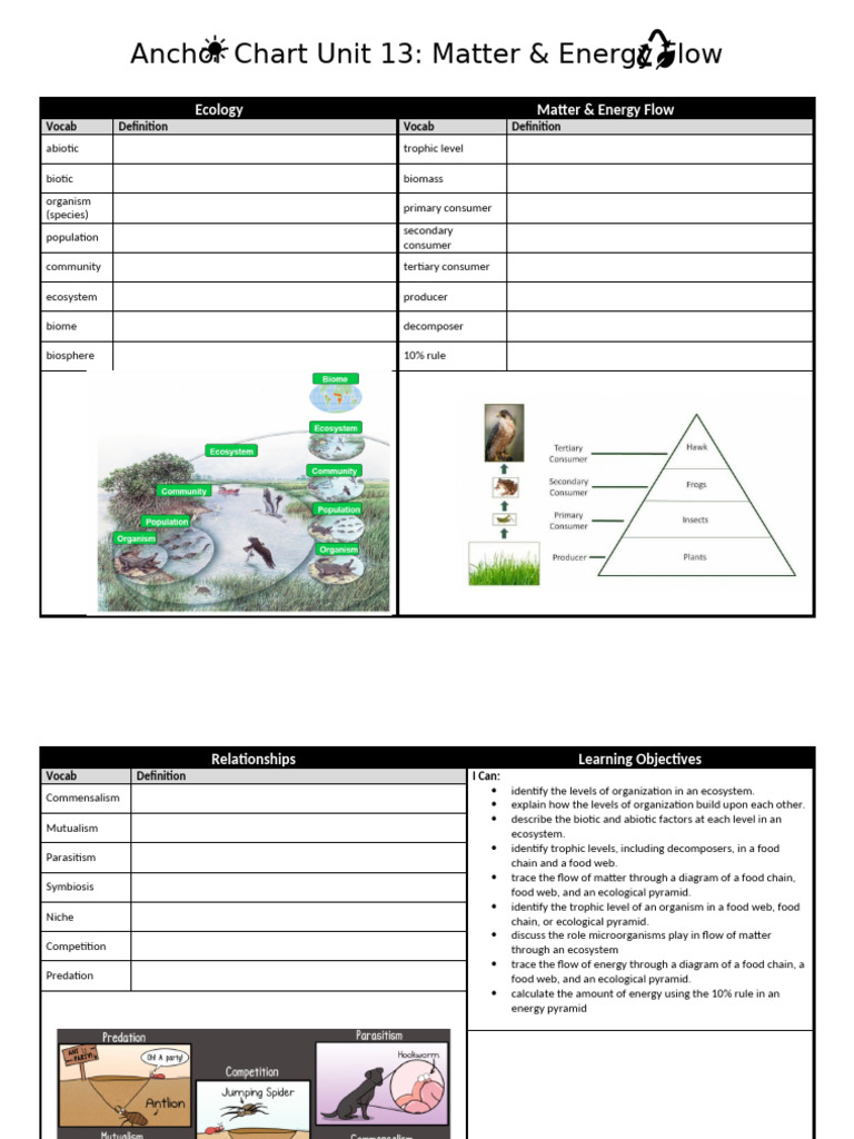 Anchor+Chart+Unit+13 | PDF