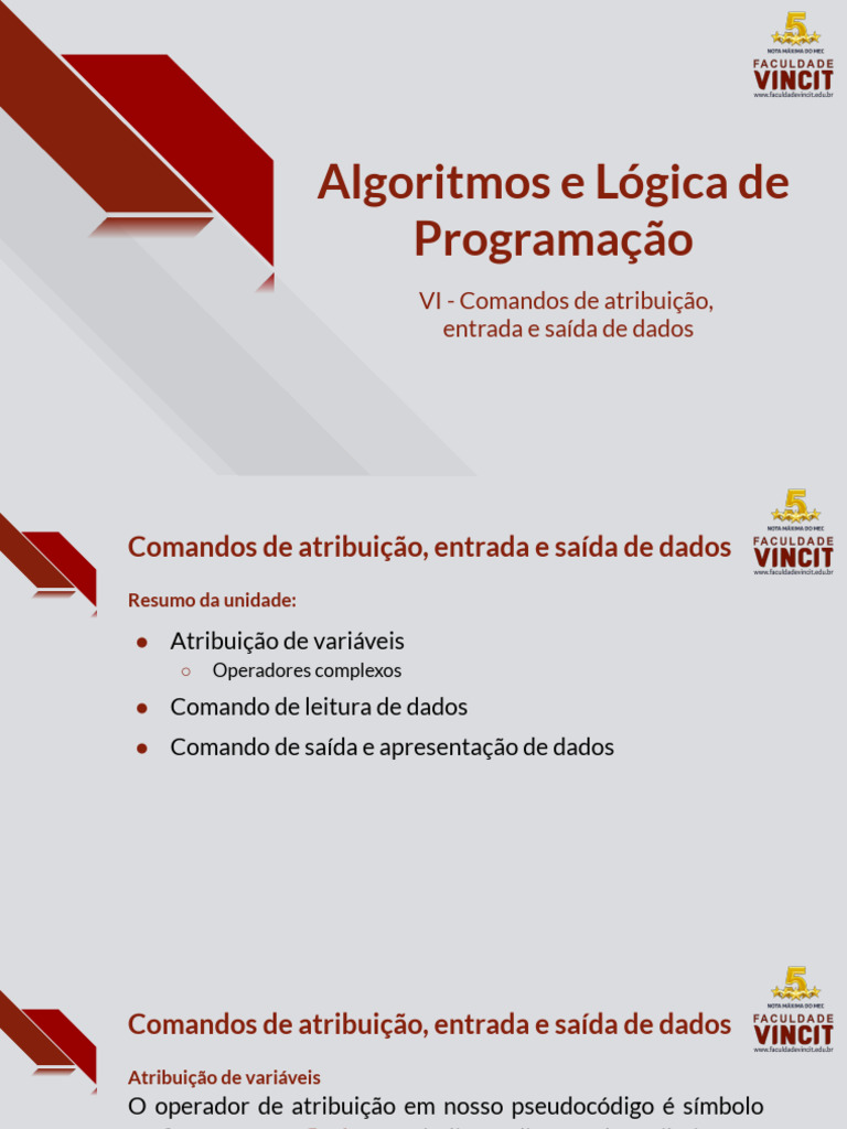 Aula 06 - Comandos de Atribuição, Entrada e Saída de Dados | PDF ...