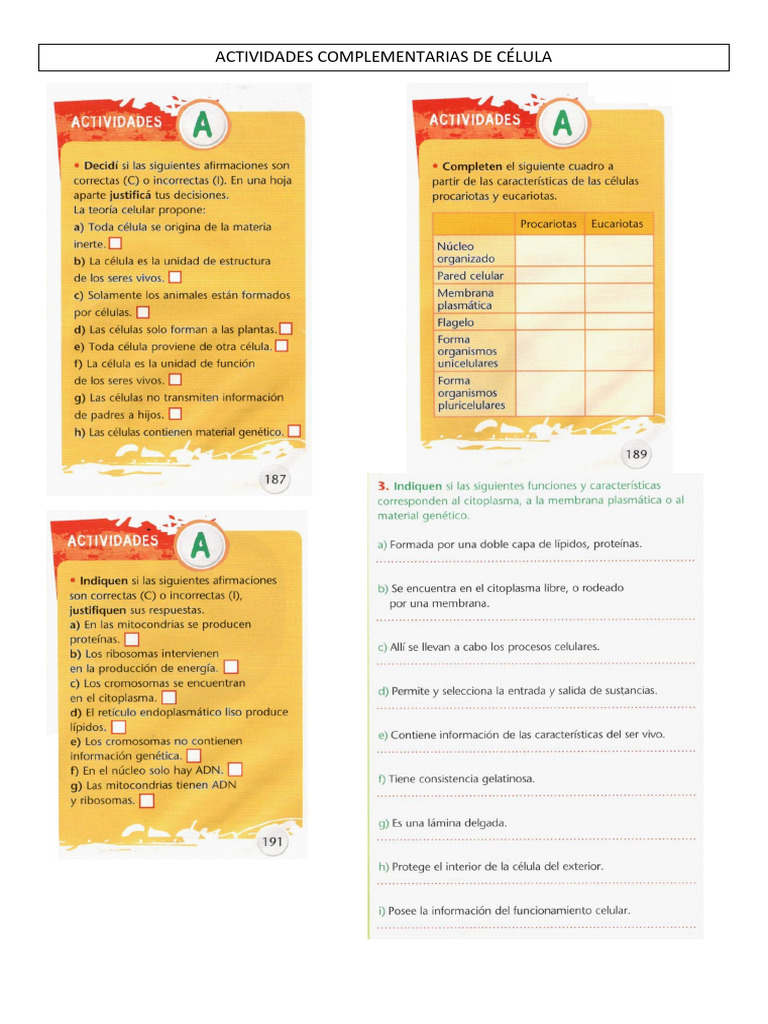 Actividades Complementarias de Célula | PDF