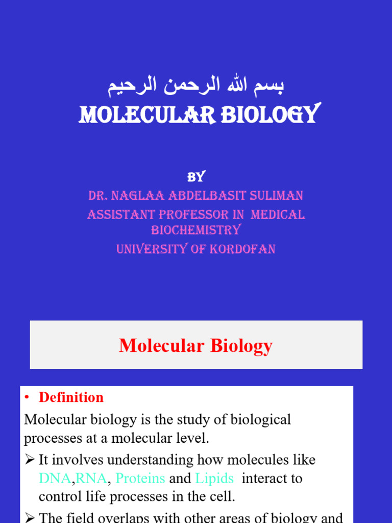 Nucleotides Structure and Functions 33 | PDF | Nucleotides | Molecular ...
