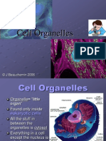 Cell Organelles