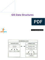 GIS Data Structures