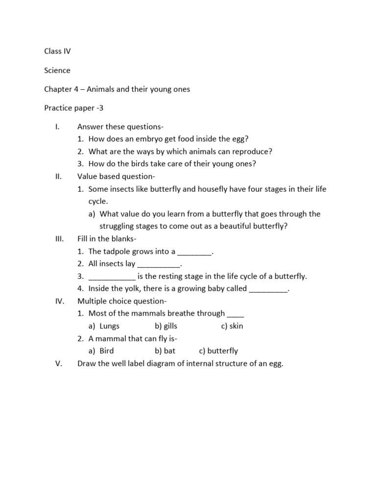 4 Science Ch3 Test | PDF