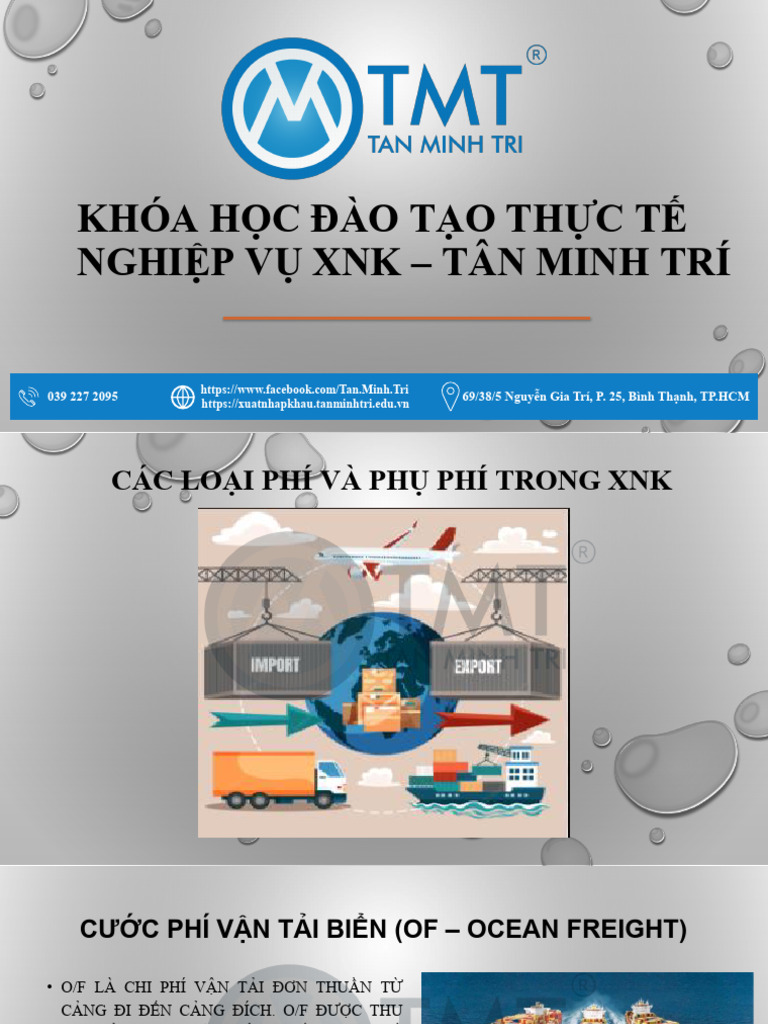 10.Phi Va Phu Phi Trong Xnk | PDF