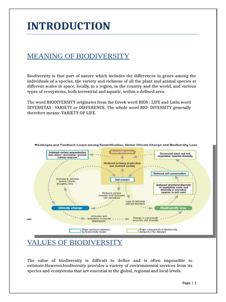 ecosystem project | PDF | Biodiversity | Conservation Biology