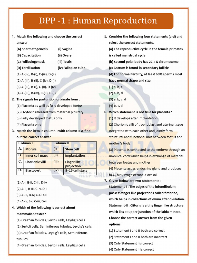 DPP 1 Human Reproduction | PDF | Menstrual Cycle | Sperm