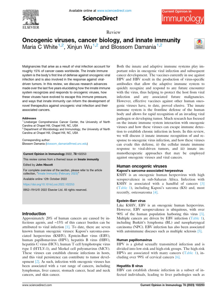 Oncogenic Viruses, Cancer Biology, And Innate Immunity | PDF ...