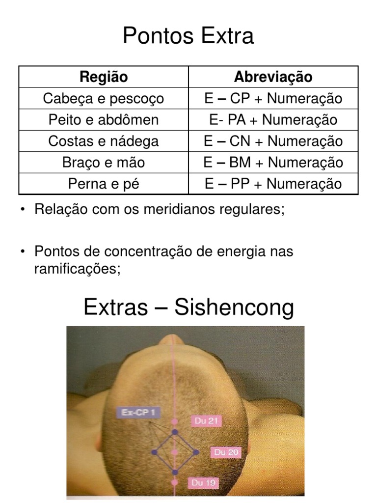Pontos Extra | PDF | Anatomia humana | Anatomia