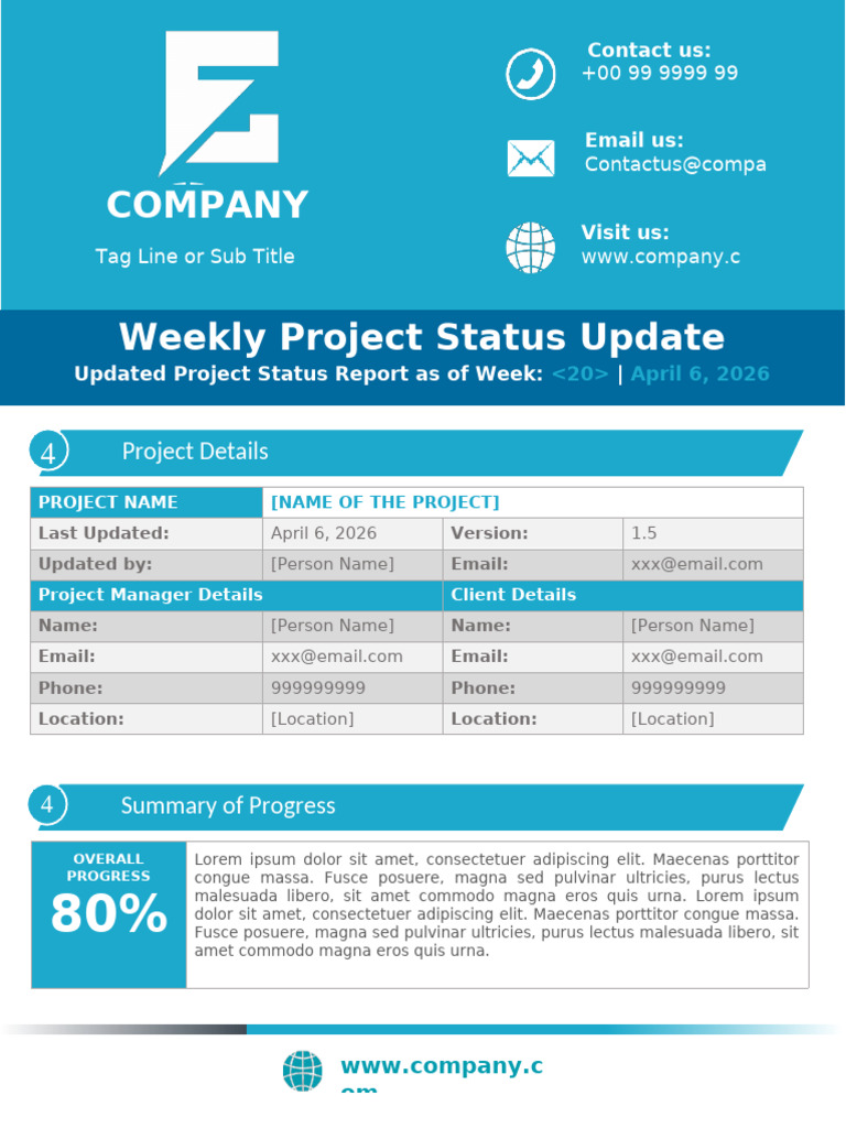Weekly Project Status Update | PDF
