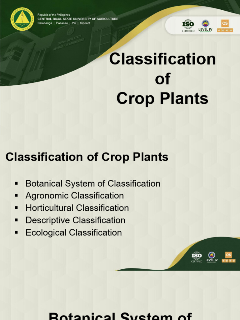 Classification of Crop Plants | PDF | Fruit | Crops