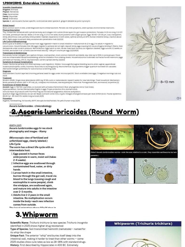 Scientific Name Enterobius Vermicularis Type of Species Intestinal ...