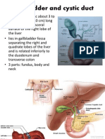 Gallbladder and Cystic Duct