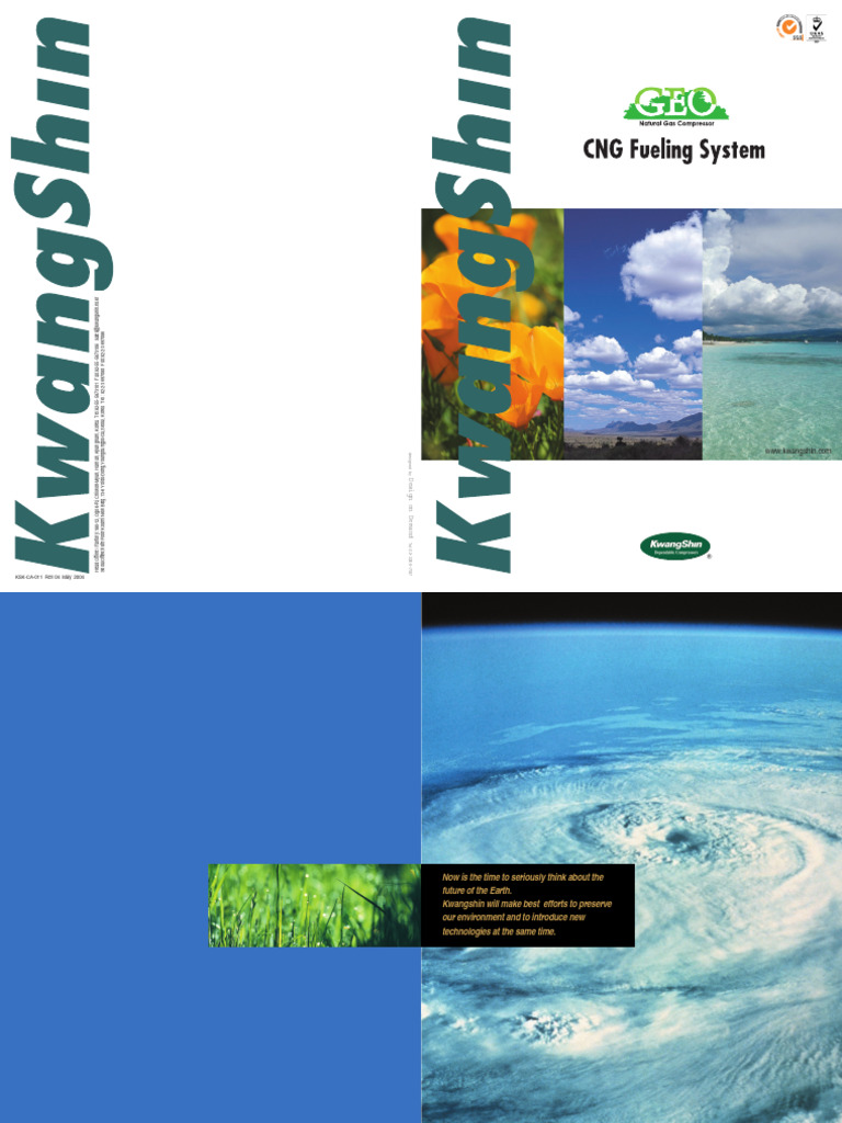 CNG Fueling System | PDF | Natural Gas | Piston