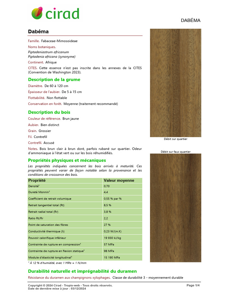DABÉMA 2024 | PDF | Bois