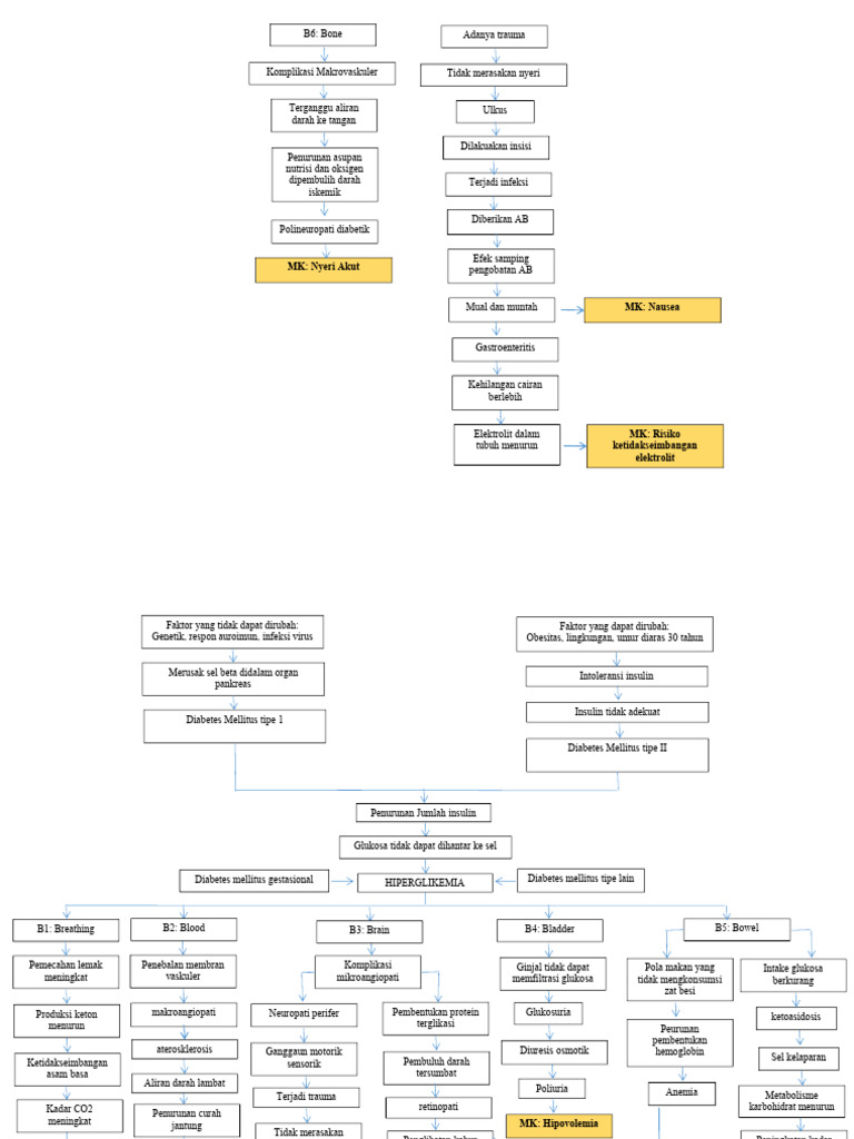 Woc Dm Prisda | PDF