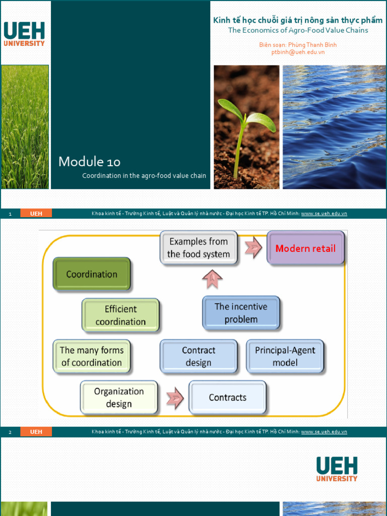Module 10 _ Coordination in the Agro-food Value Chain | PDF