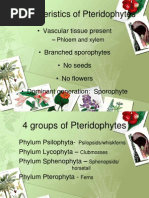 【OREGON】 ARPR2011 | PDF | Fern | Plants