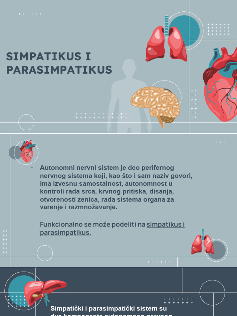 Simpatikus i Parasimpatikus | PDF
